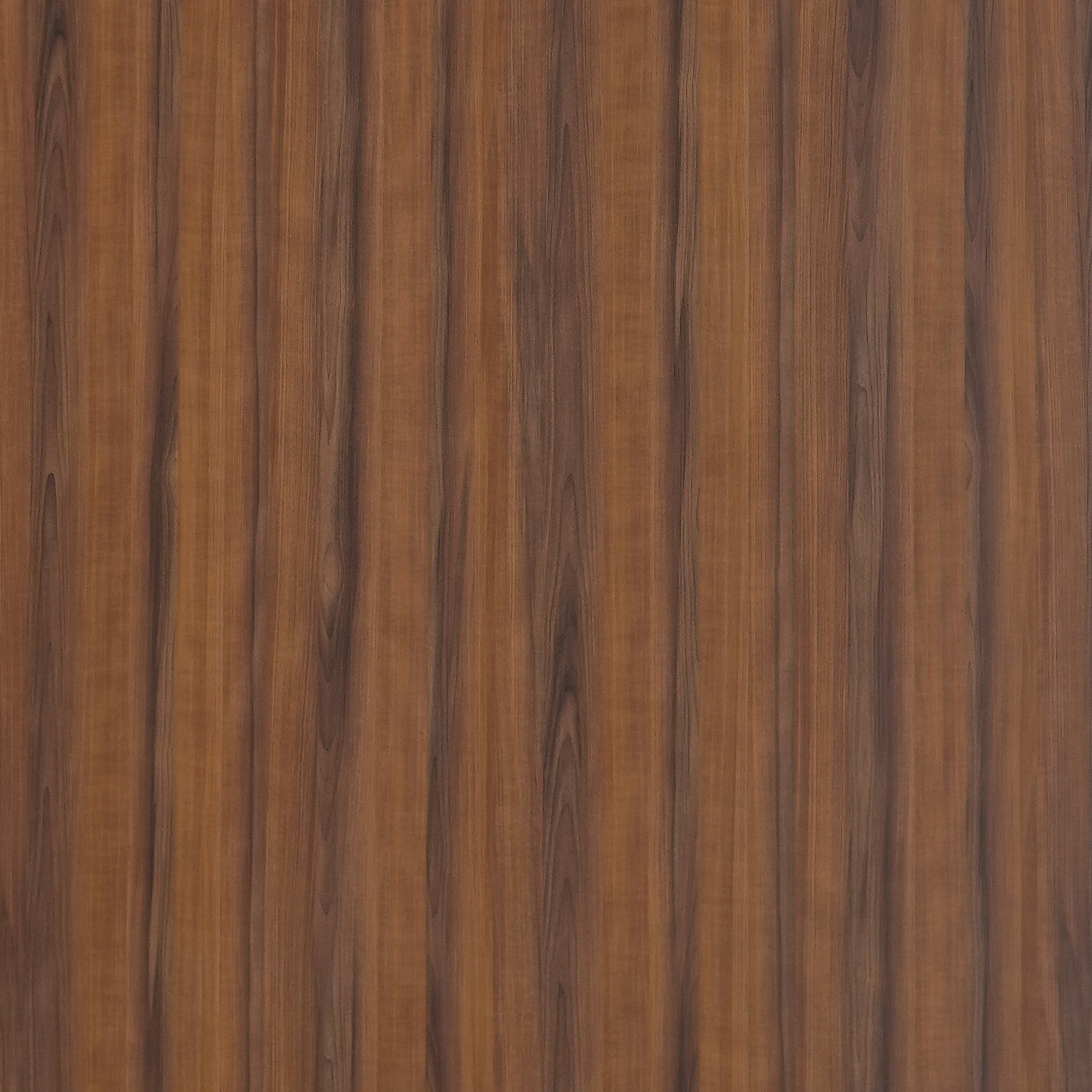 WP 102 (1mm)