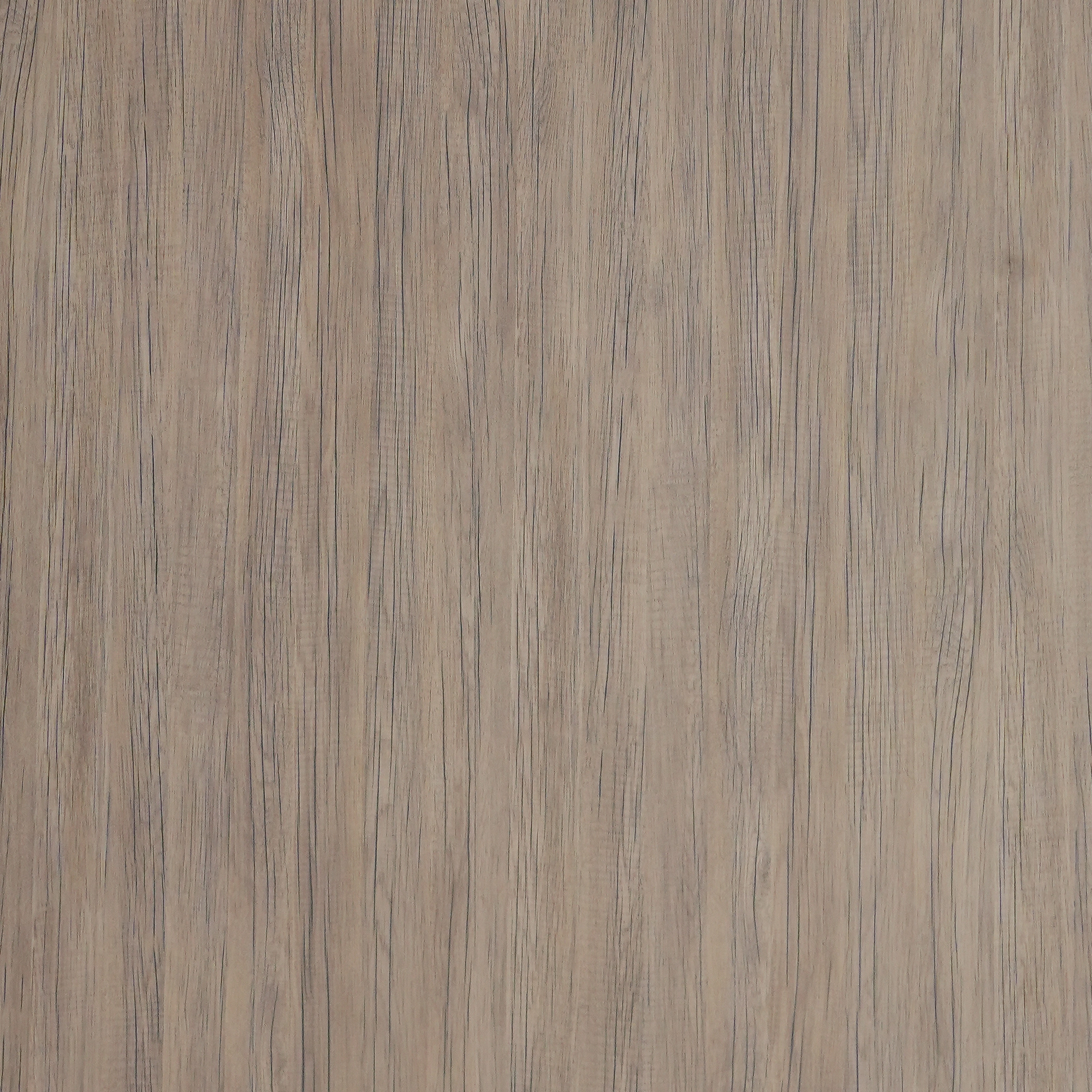 WP 141 (1mm)