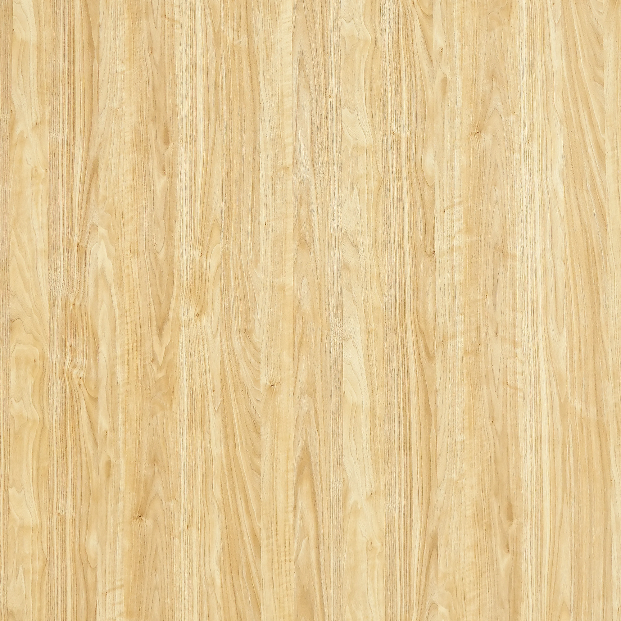 WP 147 (1mm)