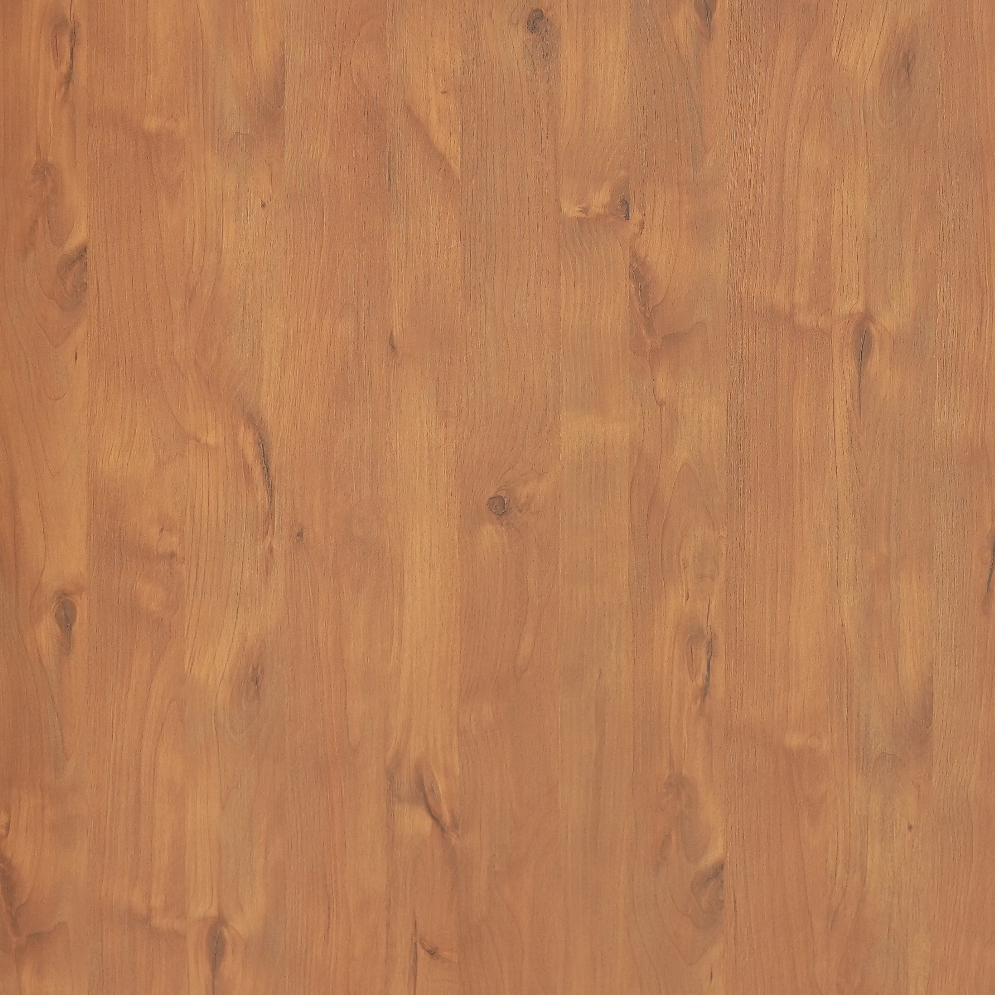 WP 162 (1mm)