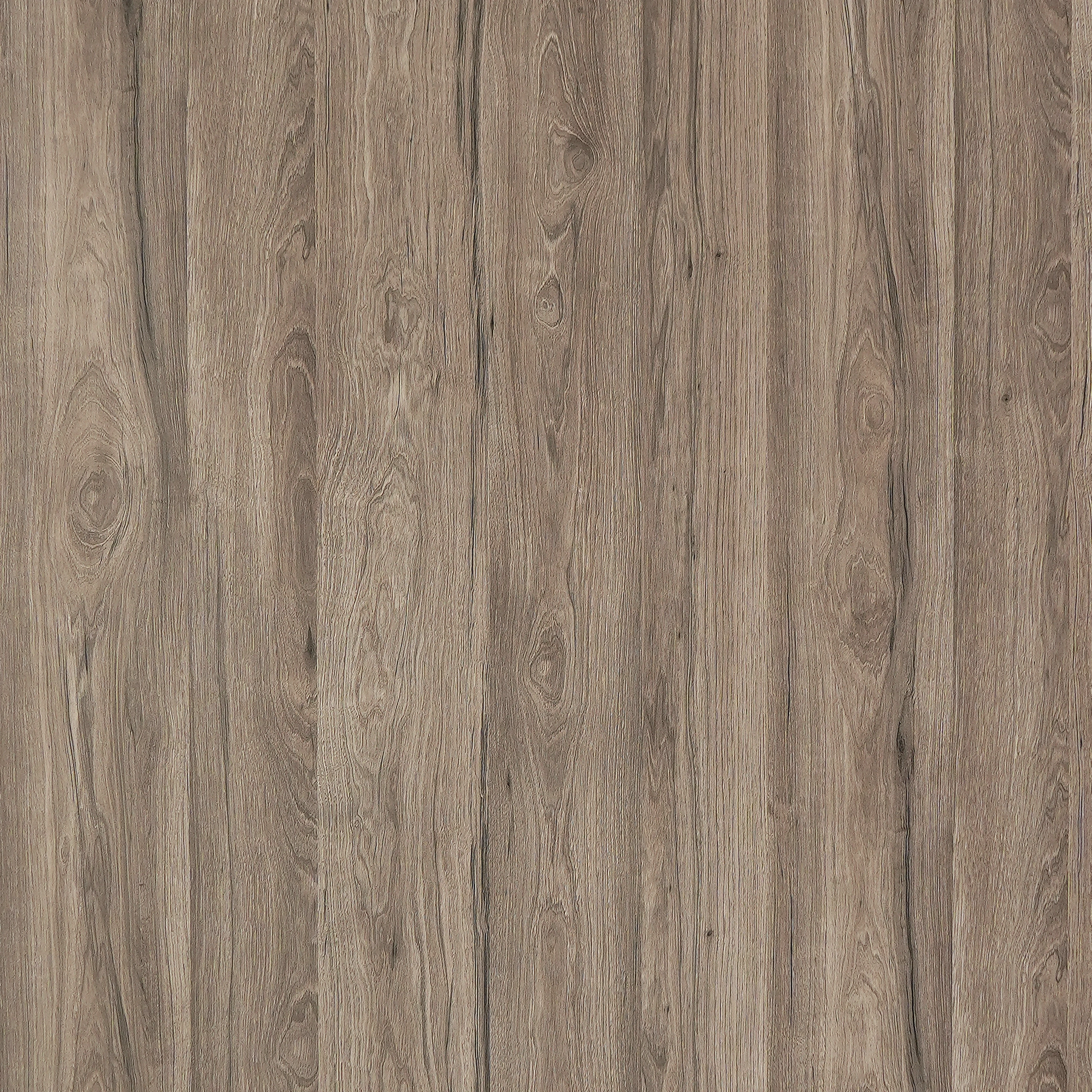 WP 198 (1mm)