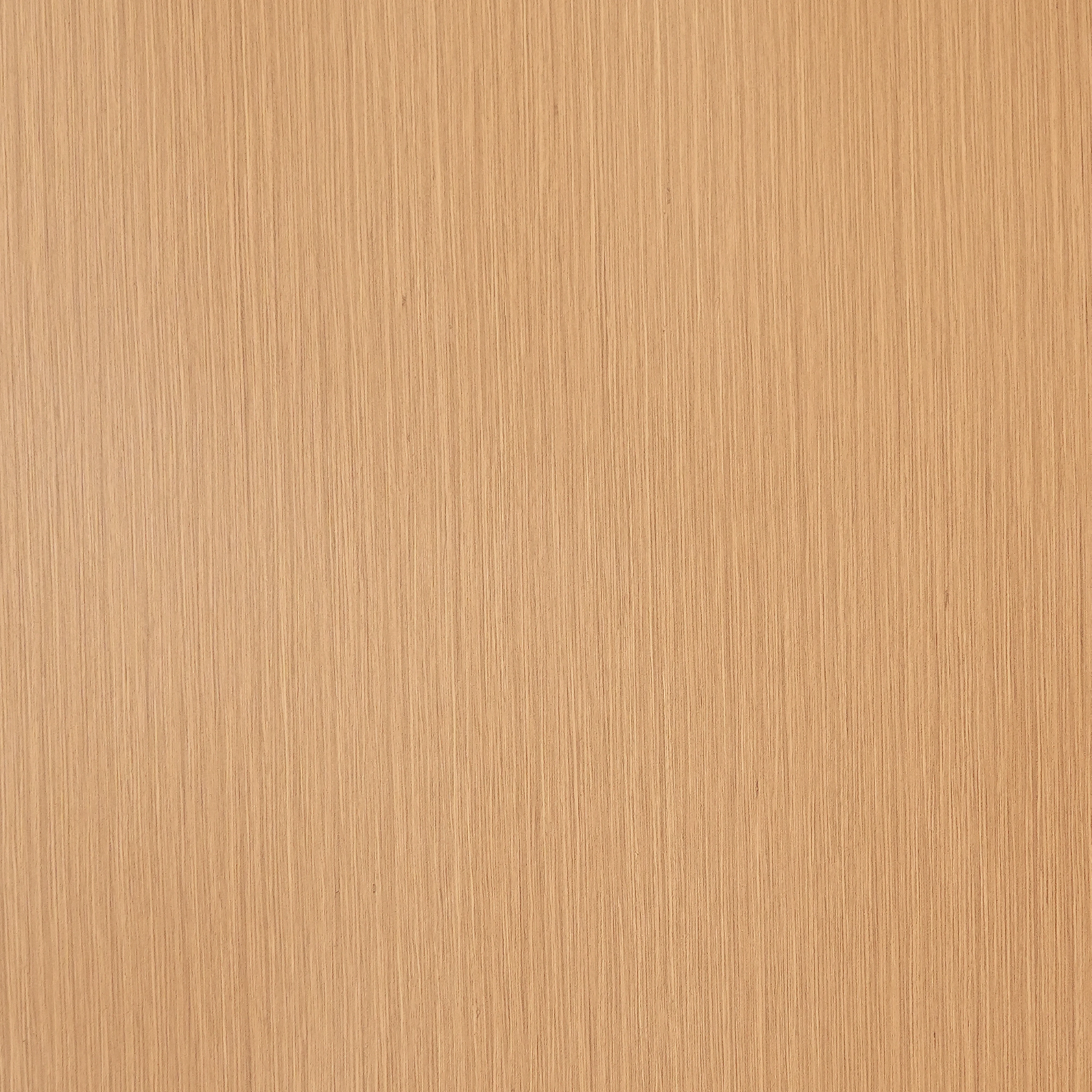 WP 220 (1mm)